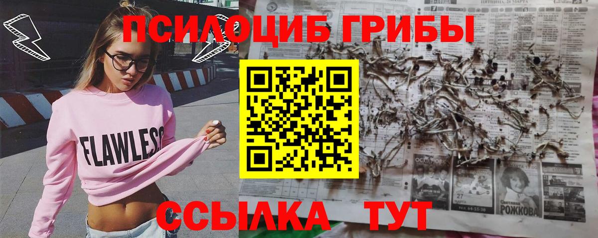 Псилоцибиновые грибы Psilocybine cubensis  Вход с VPN  Галлюциногенные грибы ЛСД  Ногинск 